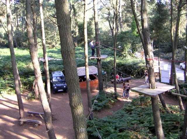  Il percorso tra gli alberi 